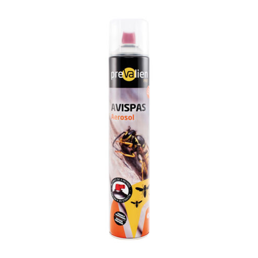 Prevalien Avispas Neo
