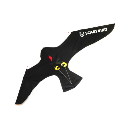 Scarybird