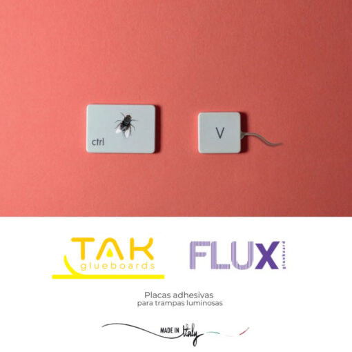 Placas adhesivas