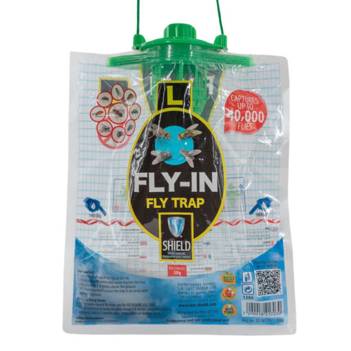Fly-In